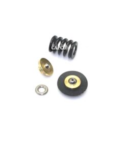 250019-453 Replacement KIT, REPAIR with spring