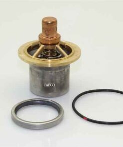250025-621 Replacement Thermal Valve