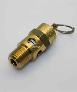 AN820541 OEM Kaeser Safety Valve