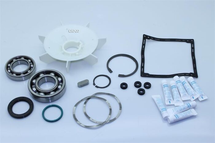 2901-9195-00 KIT:MOTOR BEARING GA11-22 (OEM) Atlas Copco | Atlas Copco Oem kit – Fast Shipping - Image 1