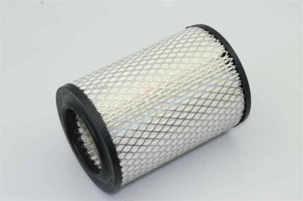 C1369 Mann Filter | OEM Filter – Fast Shipping
