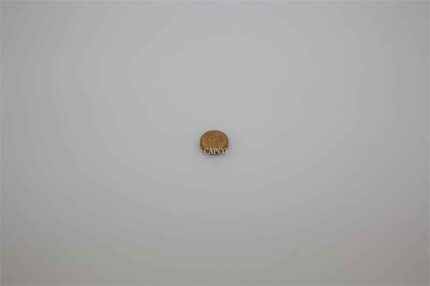 1619-5819-00 replacement sintered disc