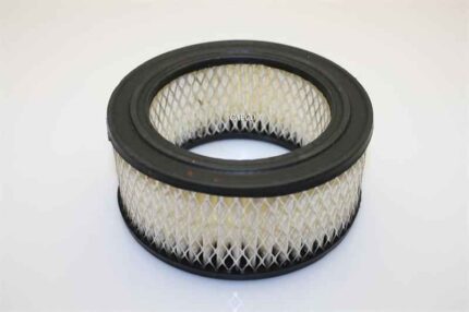 250024-421 Replacement Air Filter