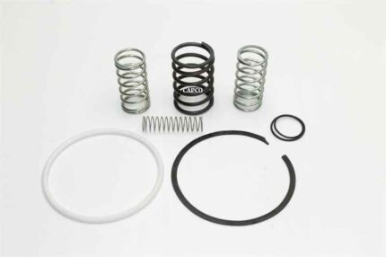 250029-249 Replacement KIT, REPAIR INLET VALVE 02250083-783 (16 SERIES)